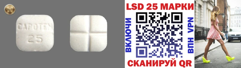 купить закладку  KRAKEN tor  LSD-25 экстази ecstasy  Полярный 
