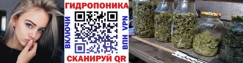 Бошки марихуана OG Kush  Полярный 